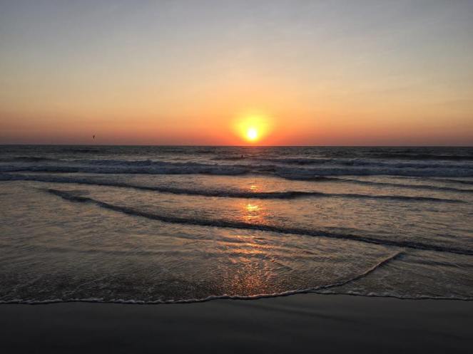 11140303_1020203894702358_5187855649820822943_n