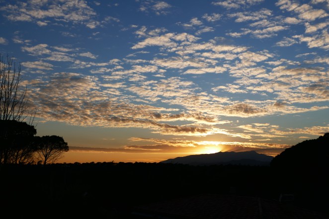 landscape Elisabet Ledesma